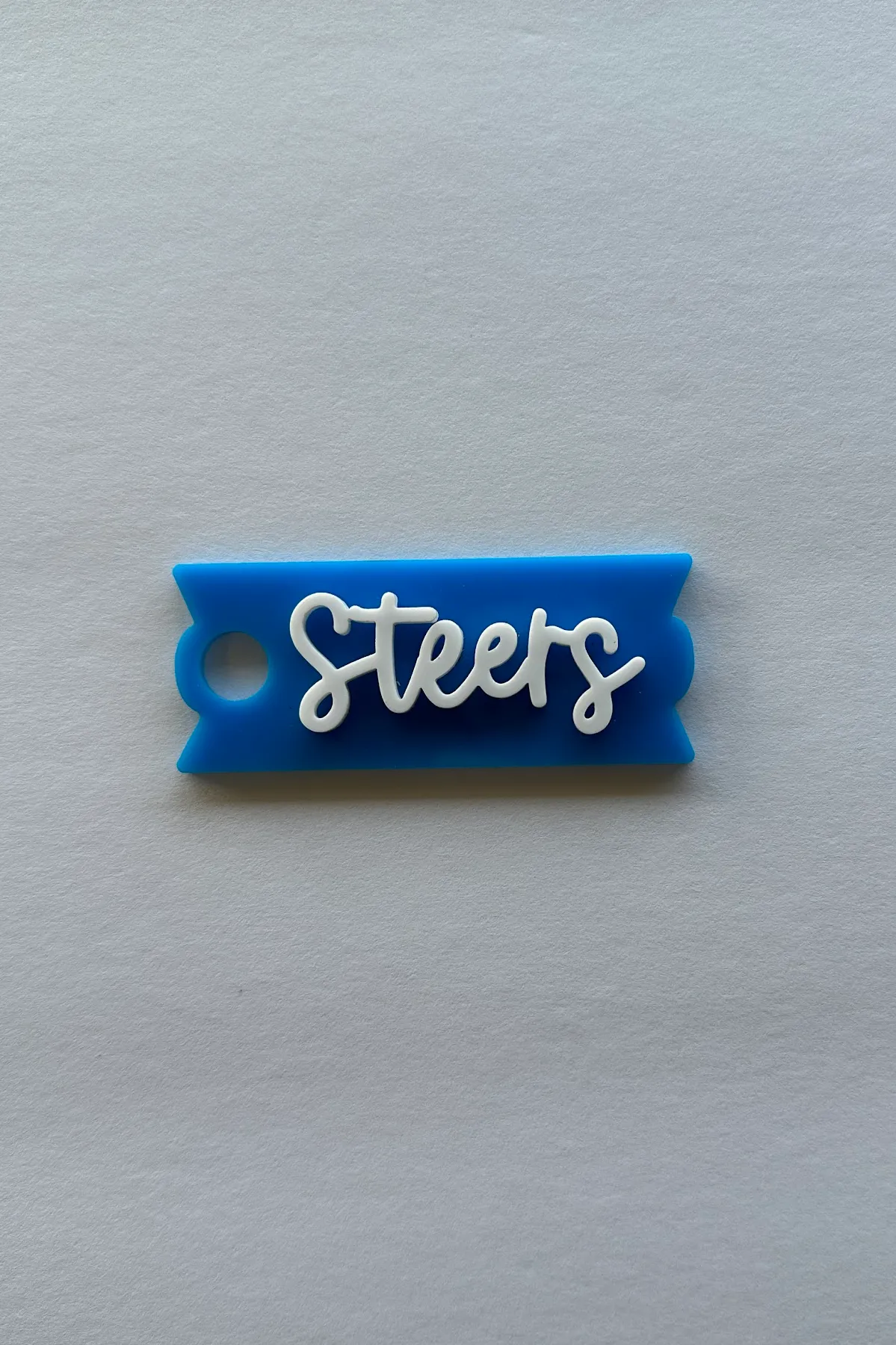 Steers Tumbler Plate - Blue